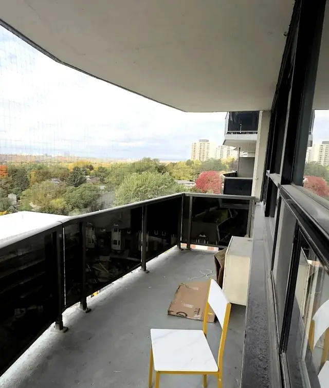 Balcony cleaning after pigeon mess removal in Delta