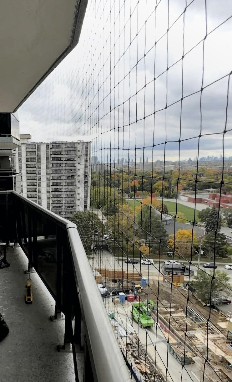 Bird-proofed condo balcony with focused safety netting