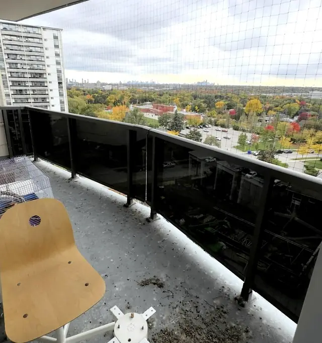 Pigeon proof balcony before and after cleaning photo
